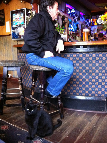 The Vyvyan Arms Hotel Camborne Extérieur photo